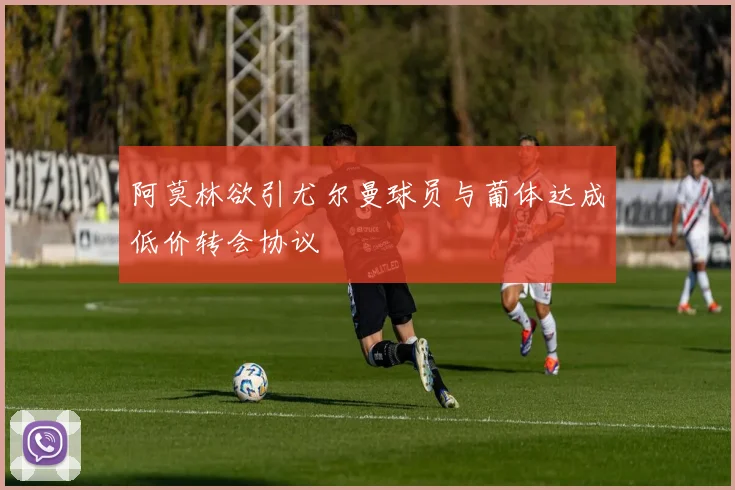 阿莫林欲引尤尔曼球员与葡体达成低价转会协议