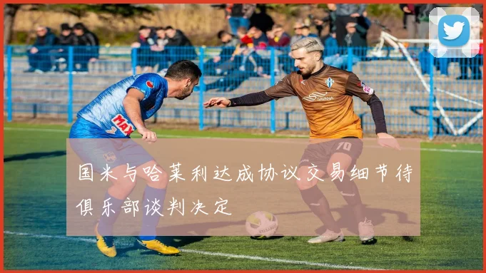 国米与哈莱利达成协议交易细节待俱乐部谈判决定