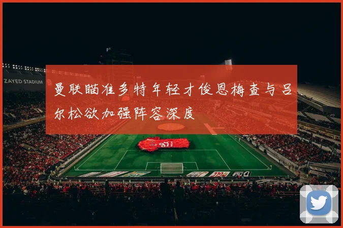 曼联瞄准多特年轻才俊恩梅查与吕尔松欲加强阵容深度