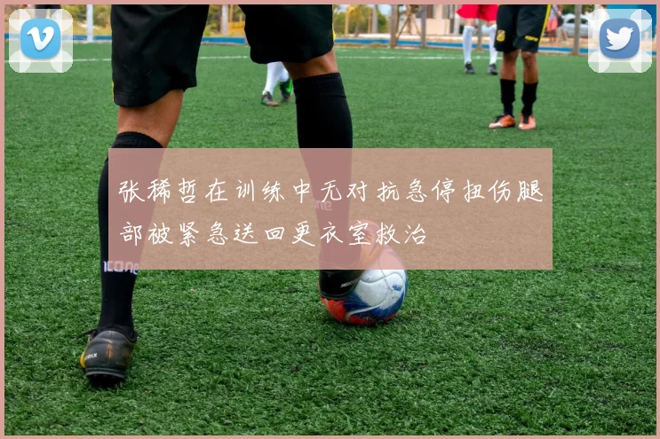 张稀哲在训练中无对抗急停扭伤腿部被紧急送回更衣室救治